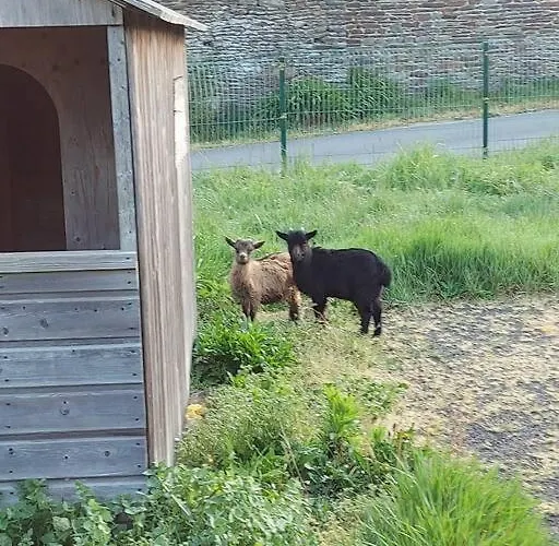 Le Nature * ユイヌ・シュル・メール